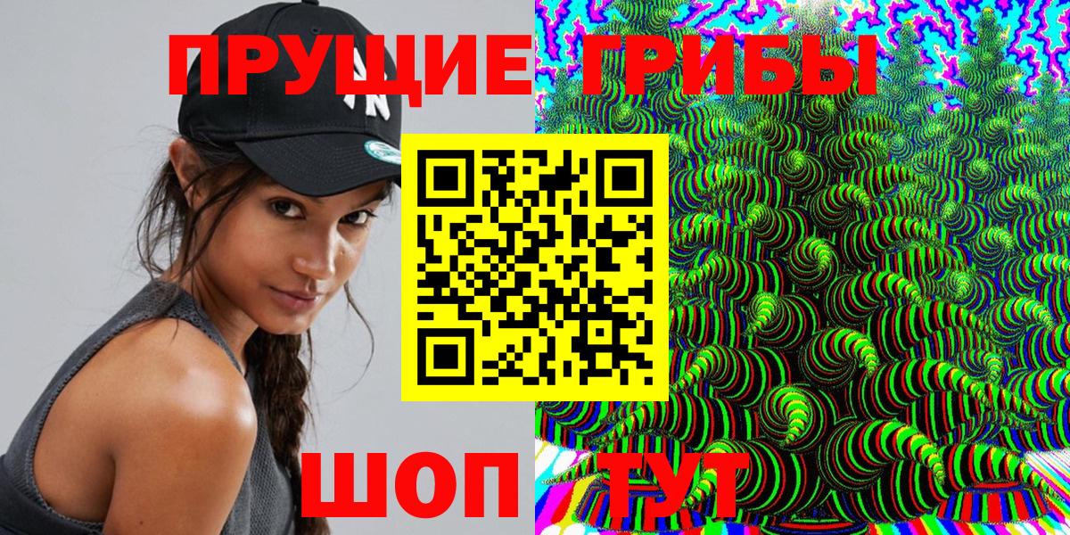 Псилоцибиновые грибы Psilocybine cubensis Коряжма
