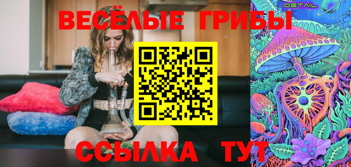 Коряжма  Псилоцибиновые грибы GOLDEN TEACHER  Вход с VPN 