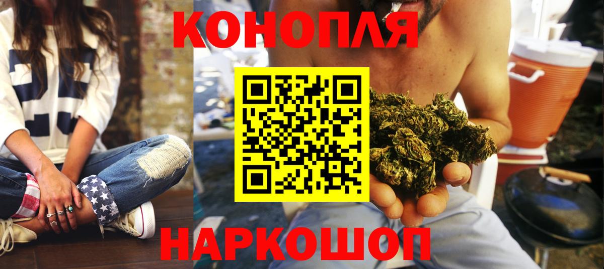 Бошки Шишки гибрид Коряжма